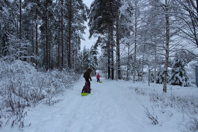 ¿Que más se puede hacer en Rovaniemi? - Finlandia, mucho más que Papa Noel (1)