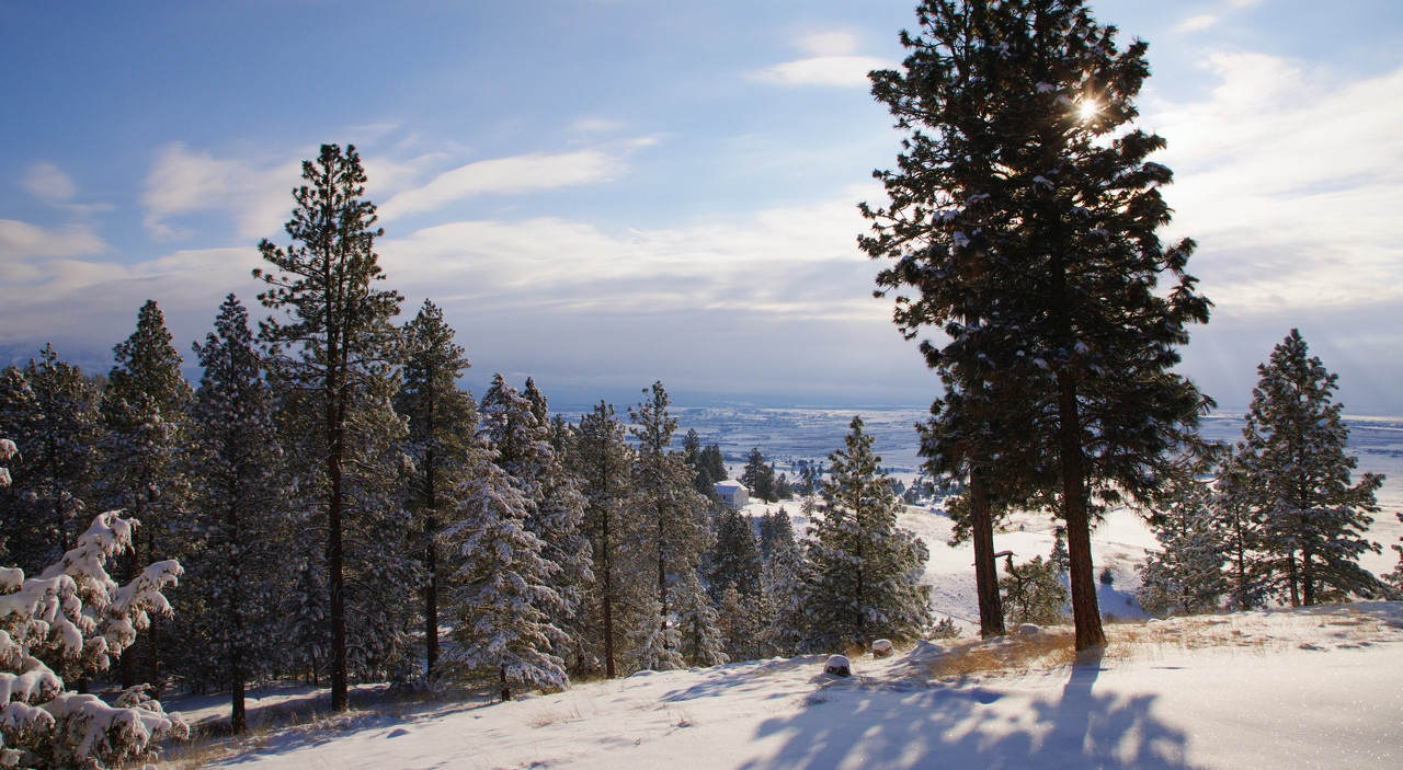 20161225-799A9733_1400px