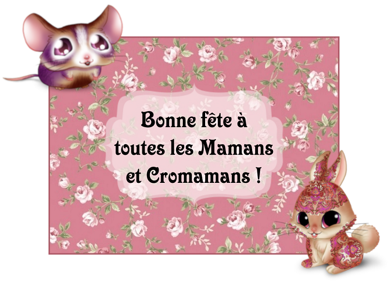 https://i.postimg.cc/MTwyqDxY/Carte-f-te-des-mamans-et-cromamans.png