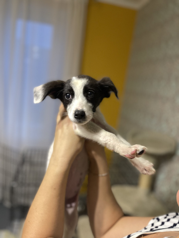 8CEB6EF8-18CB-4430-AB57-CD8C18FCD1A4