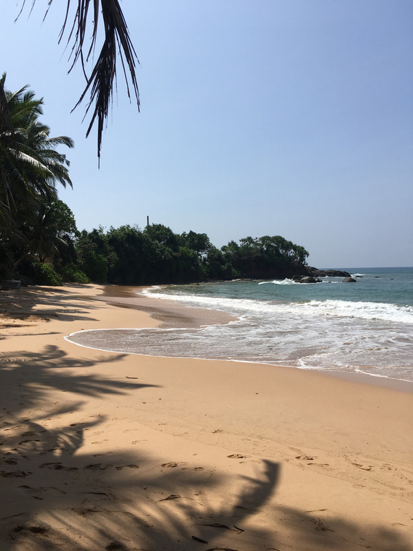 1,2,3 y 4 de enero - Hikkaduwa - Navidad en Sri Lanka - Diciembre 2017 (2)