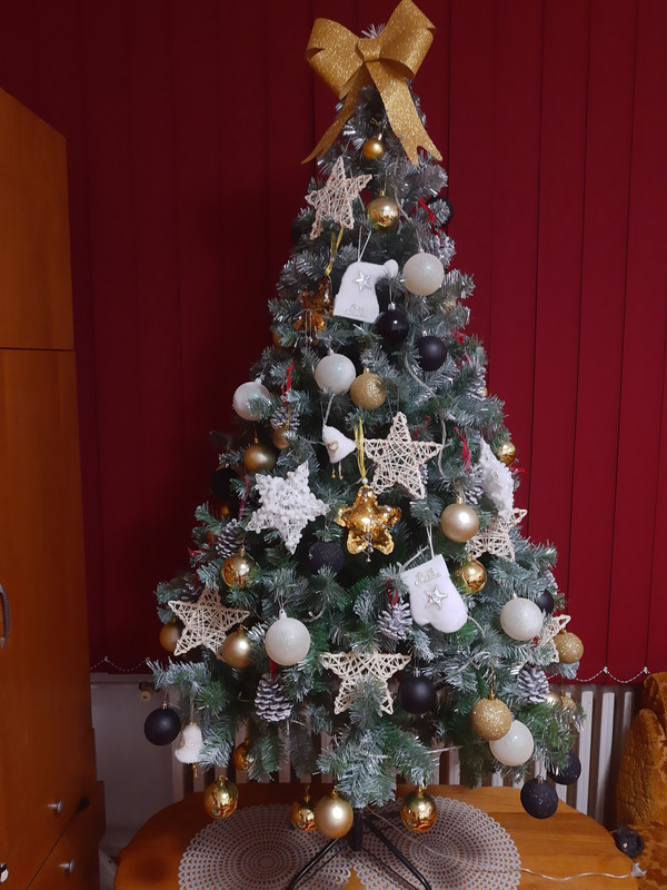 IMG_20221207_105200937