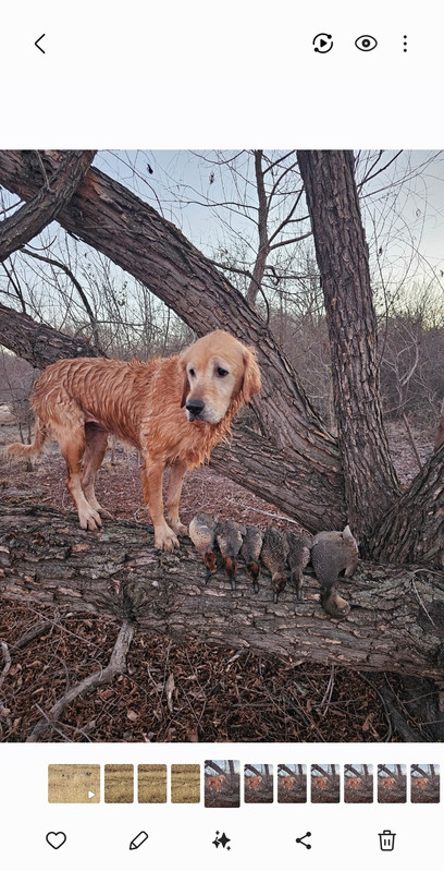 Screenshot 20251209 212732 Gallery