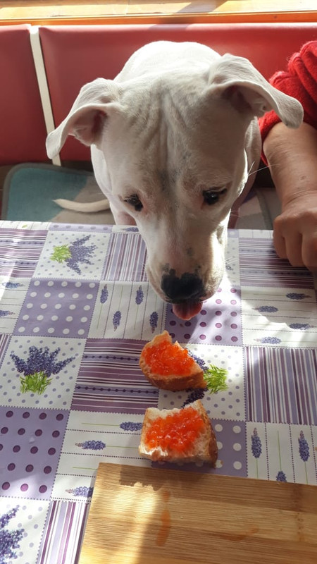 B157EFBB-3AD9-451B-AD40-AA1EF8656875