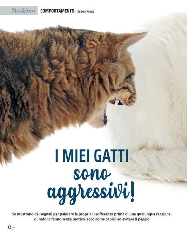 QuattroZampe Feb 2022 (7)