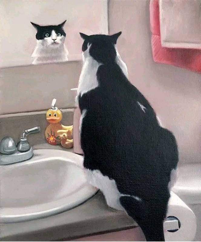 476296819-640058935225377-3376701813267022167-n