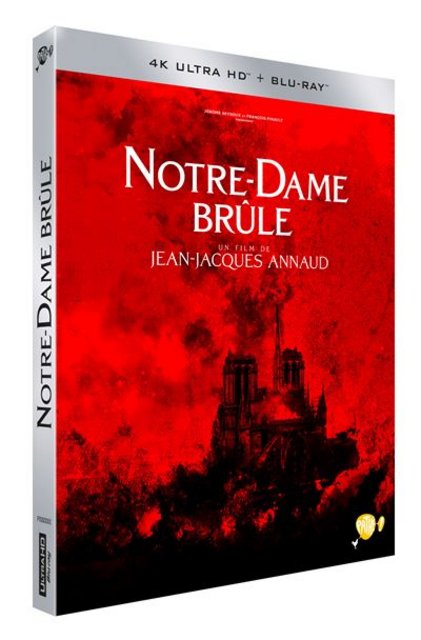 Notre Dame Płonie / Notre-Dame Brule (2022) MULTi.2160p.UHD.BluRay.Remux.DoVi.HDR.HEVC.TrueHD.7.1-fHD / POLSKI LEKTOR i NAPISY