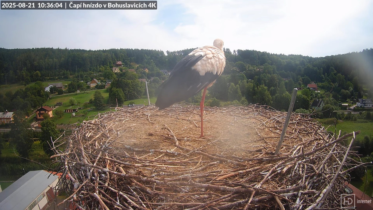 Živě z čapího komína firmy KARA v Bohuslavicích u Trutnova 11-24-55 screenshot