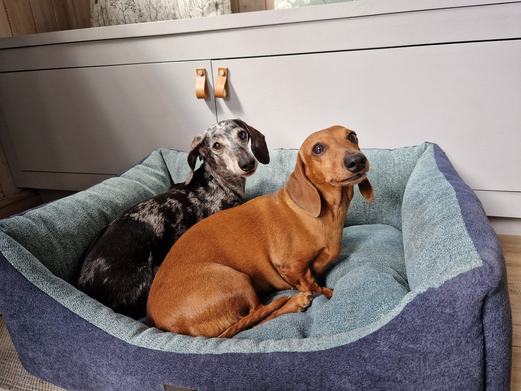 [Image: 20230408-140844.jpg]