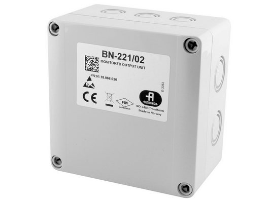 BN-221-02-jpg.jpg