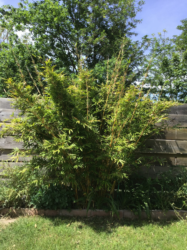 B45349FD-9BE5-40DB-BCE6-6010F5CBF8AE