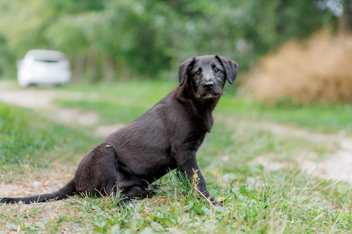 resize-image-online.com_5jpg_1QIrTLK2