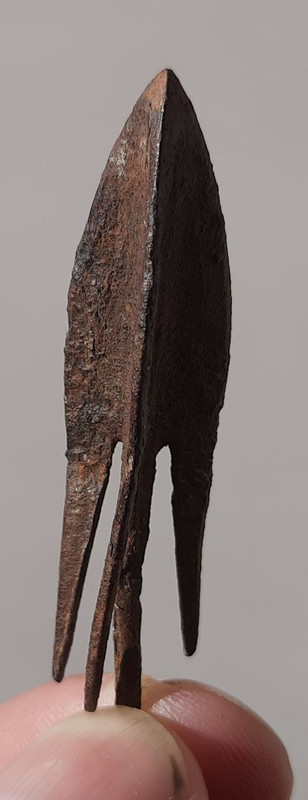 photo_2022-11-01_18-38-44 (3)