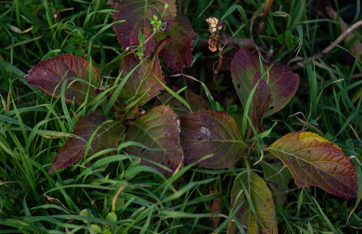 IMG-5ad547ce8a417e3fc17c62ea1fe1a3f5-V