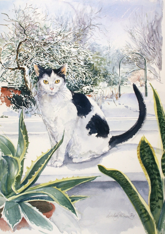 2-STARING-AT-THE-YUCCA-1-LF145(1)