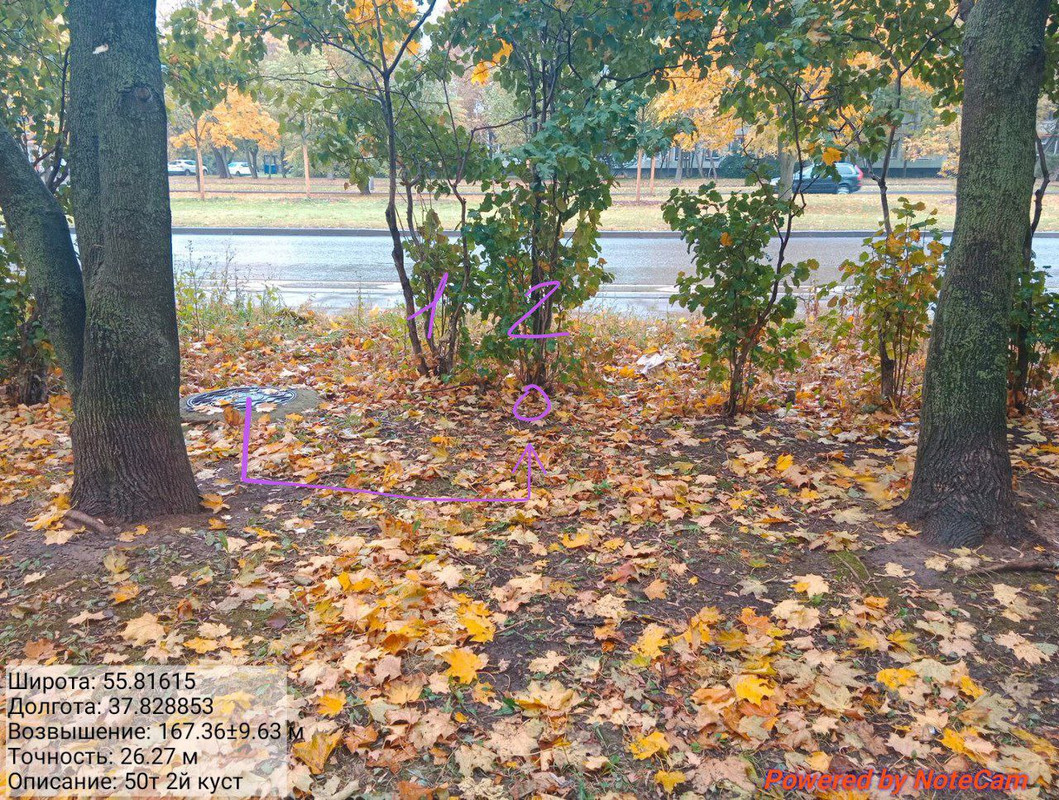 photo_2025-10-06_13-45-33