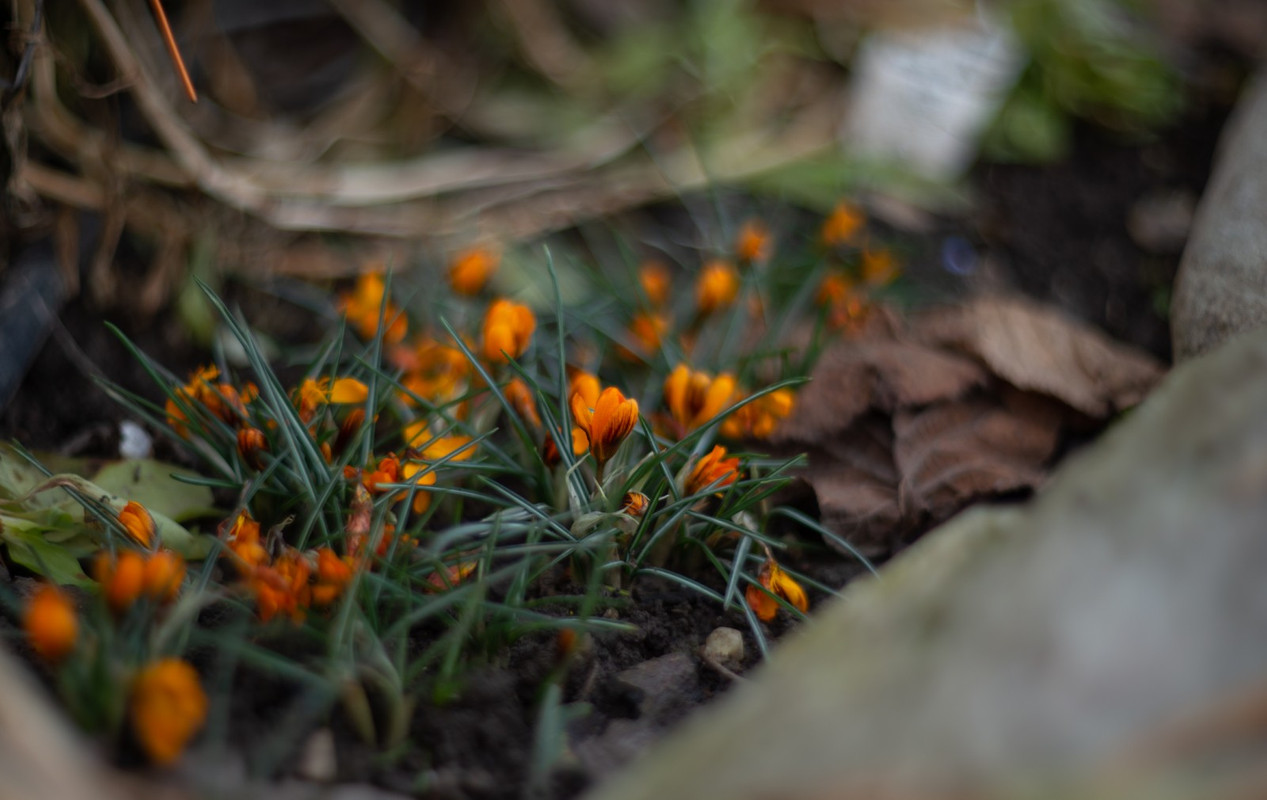 IMG-7272fc3a7cd86c063c25c794849208d4-V