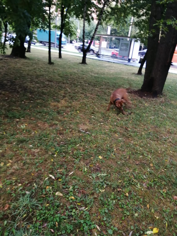 77655C50-8174-4B13-8EAA-9F15C93C5868