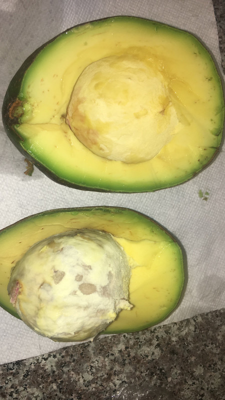 59FE6F56-F259-490D-A858-BE7689154C8B