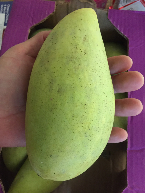 BDE2409A-9E53-4804-A2B6-A12FD6D84C8F