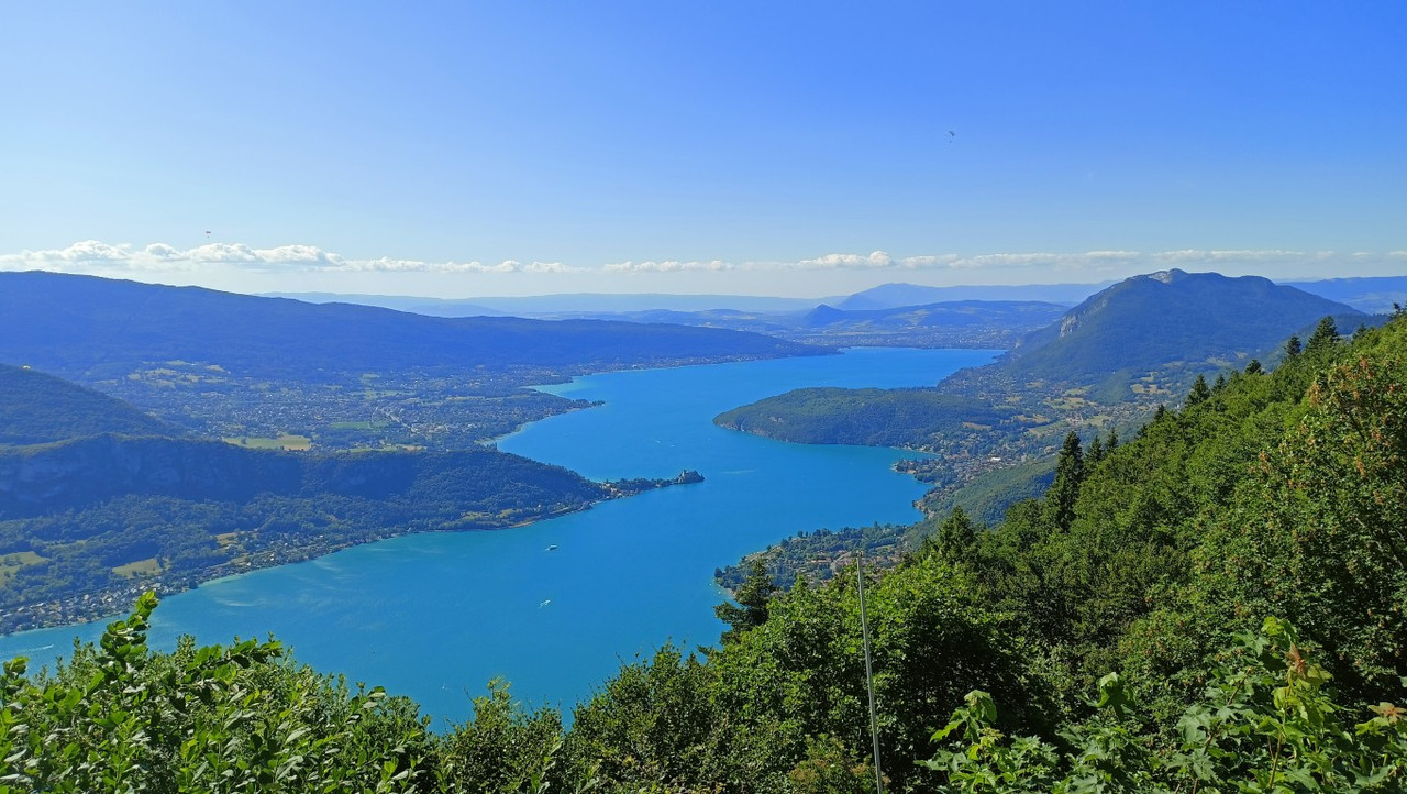 IMG20250709165432 (Medium)