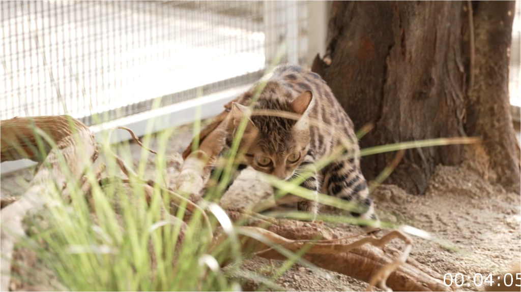 [Image: uev950ln3bbw.png]