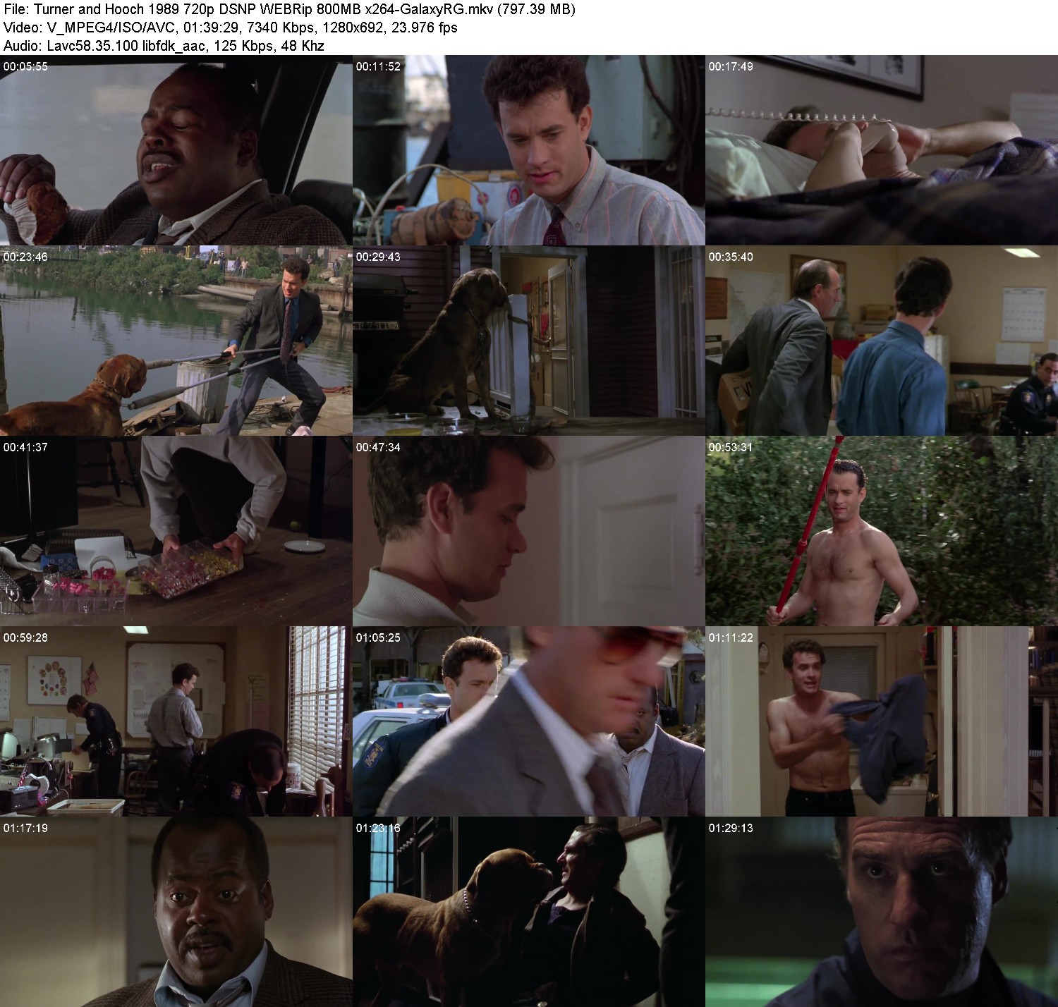 [Image: bh360qb8vijy.jpg]