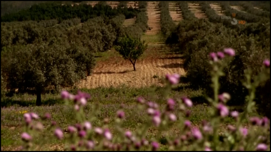 [Image: 0n7w6xxublr3.png]