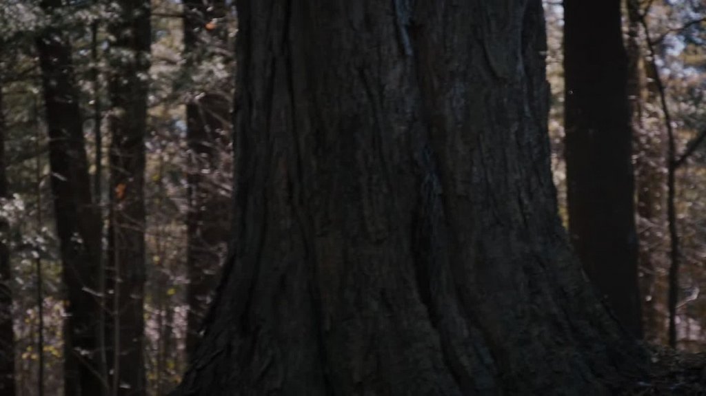 [Image: c1fahqq2fh47.jpg]