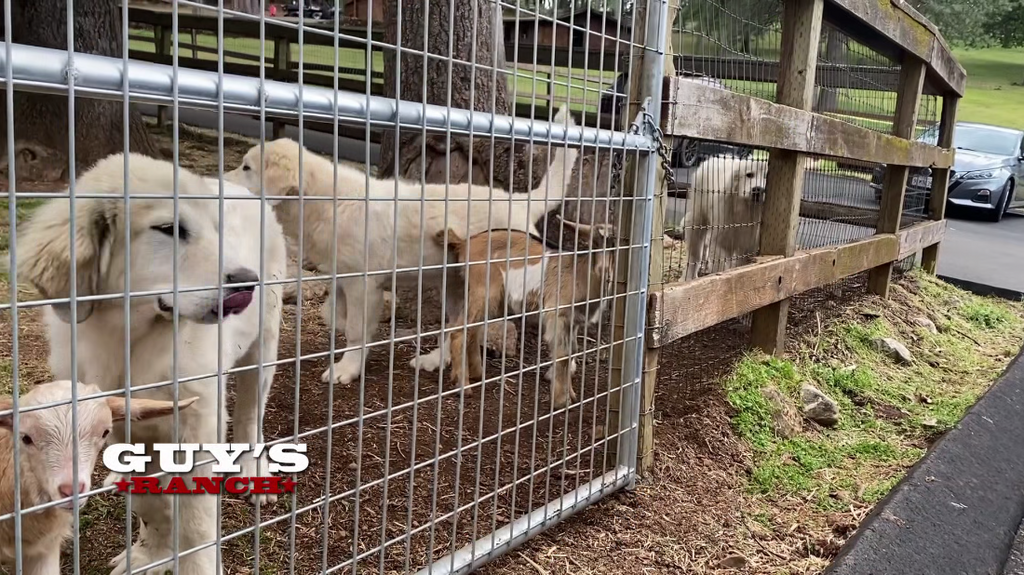 [Image: 0skxn56e5tvw.png]