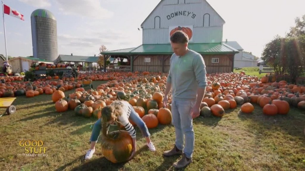 [Image: fy3ux8aj4k1e.jpg]