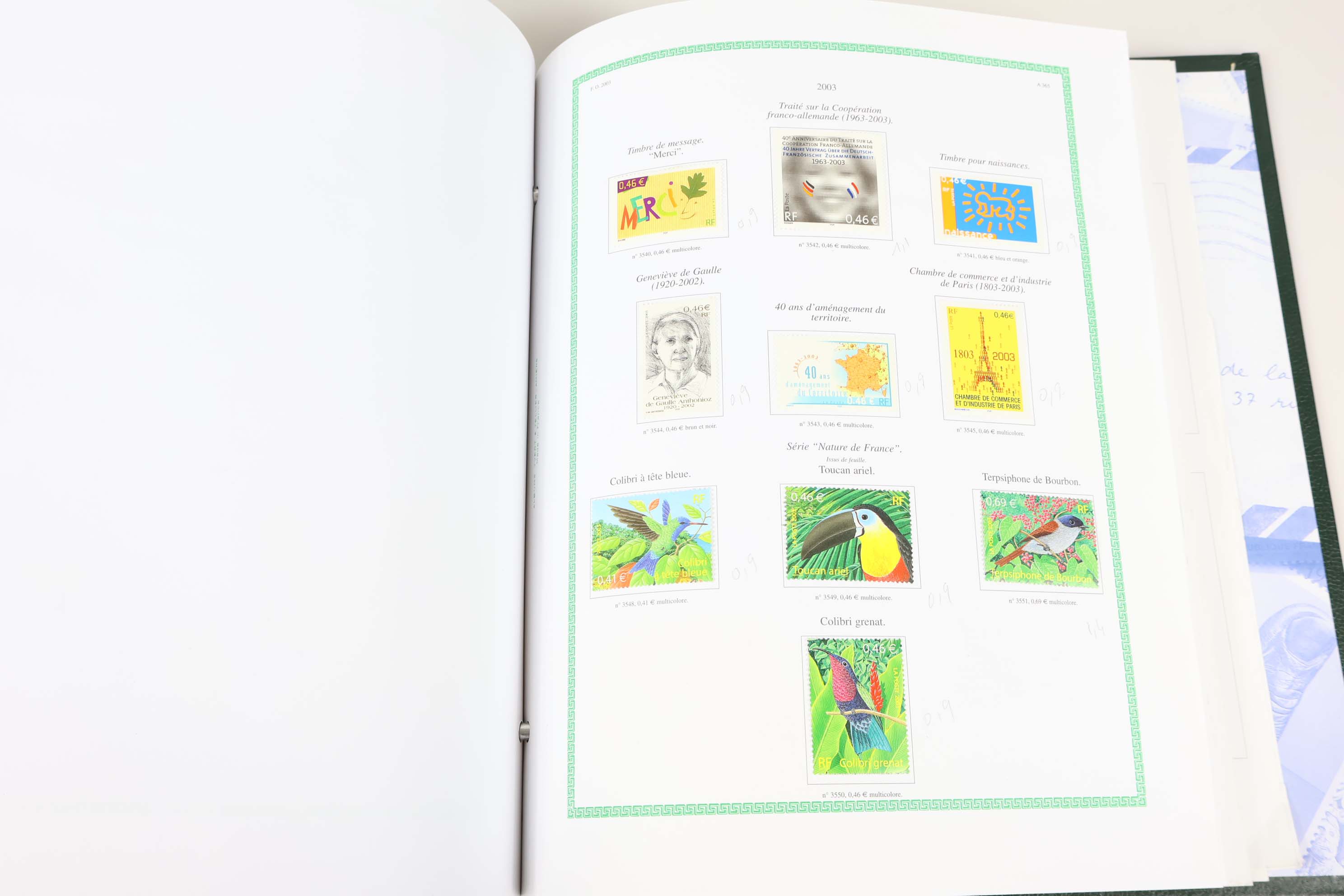 IMG-1624