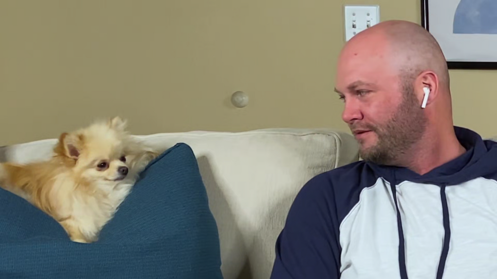 [Image: wek0ysl1cr53.png]