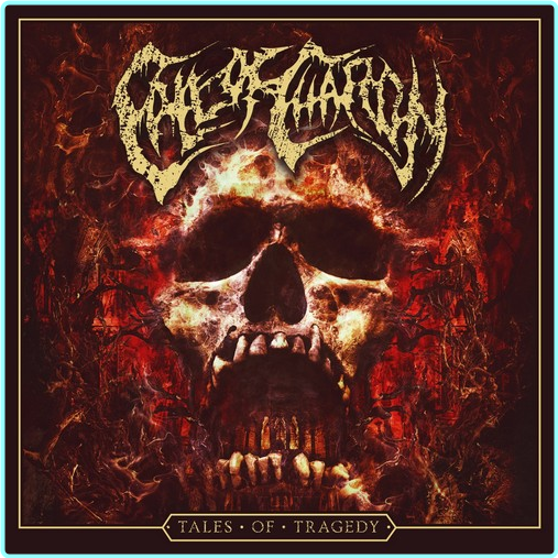 [Image: 1d90ytz6mwwx.png]