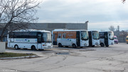 IMG-5549
