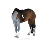 C984C7EB-73D7-4768-9120-CFF2DED401A2