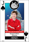 rino-Susan-Collins