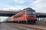 IMG-5426