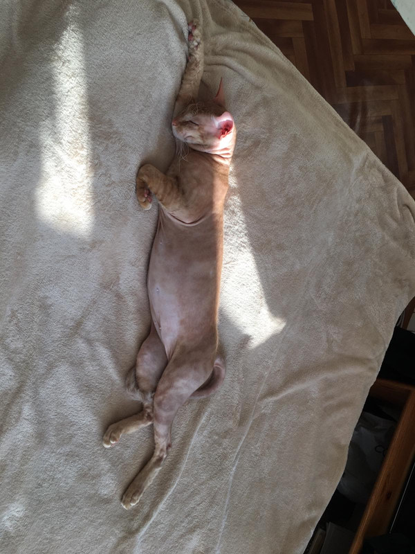 B7E8B10F-2DC7-433F-AF3A-1C87B6EE6653