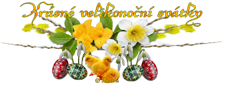 cc56b11b01-92272940-o2