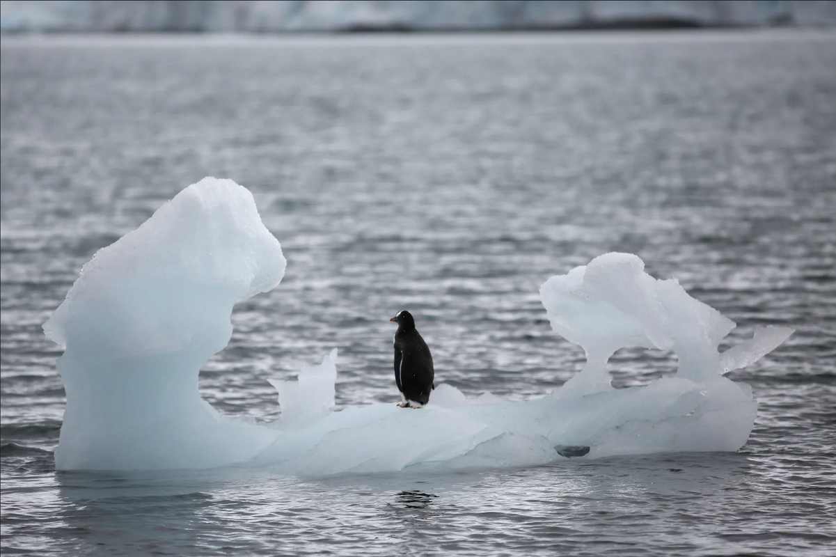 Capas de hielo en Antártida se derriten 20 veces más rápido