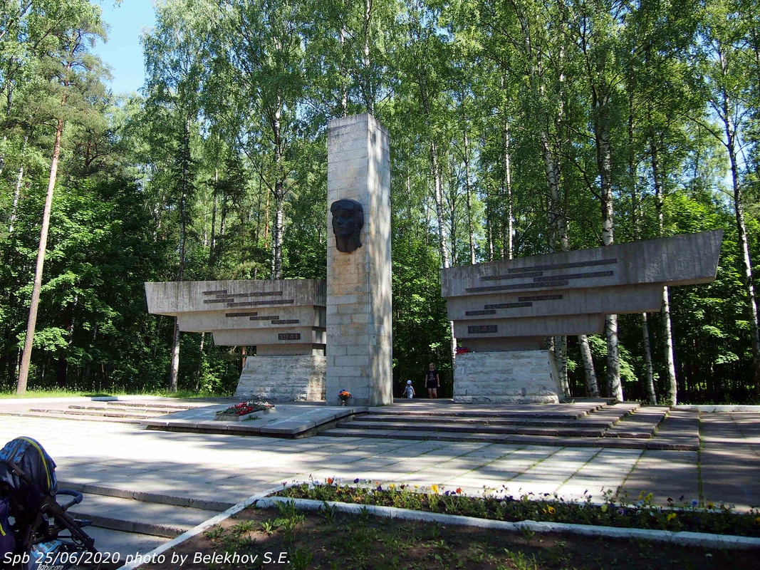 Питер, парк, Сосновка