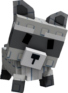 Raccoon
