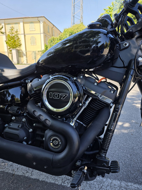 FatBob4