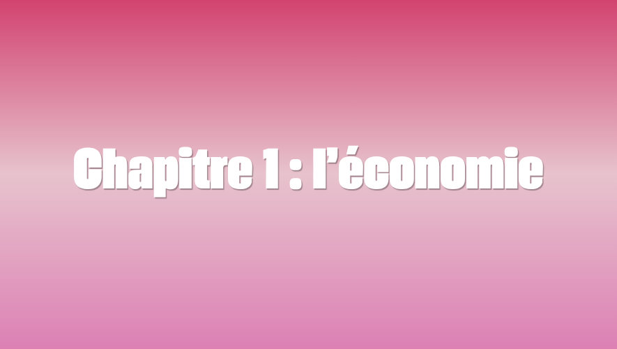Chapitre 1 : l'économie