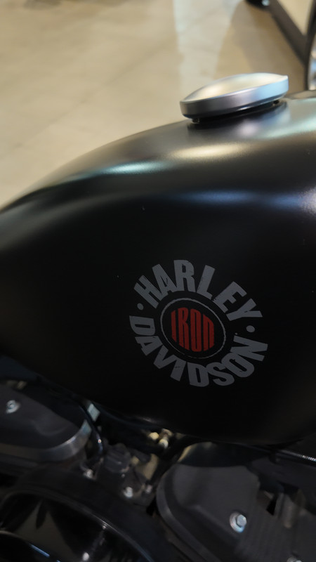 Harley Davidson Sporter 883 - 6