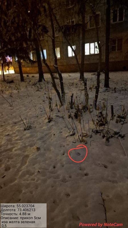 photo 2025 11 11 01 44 51