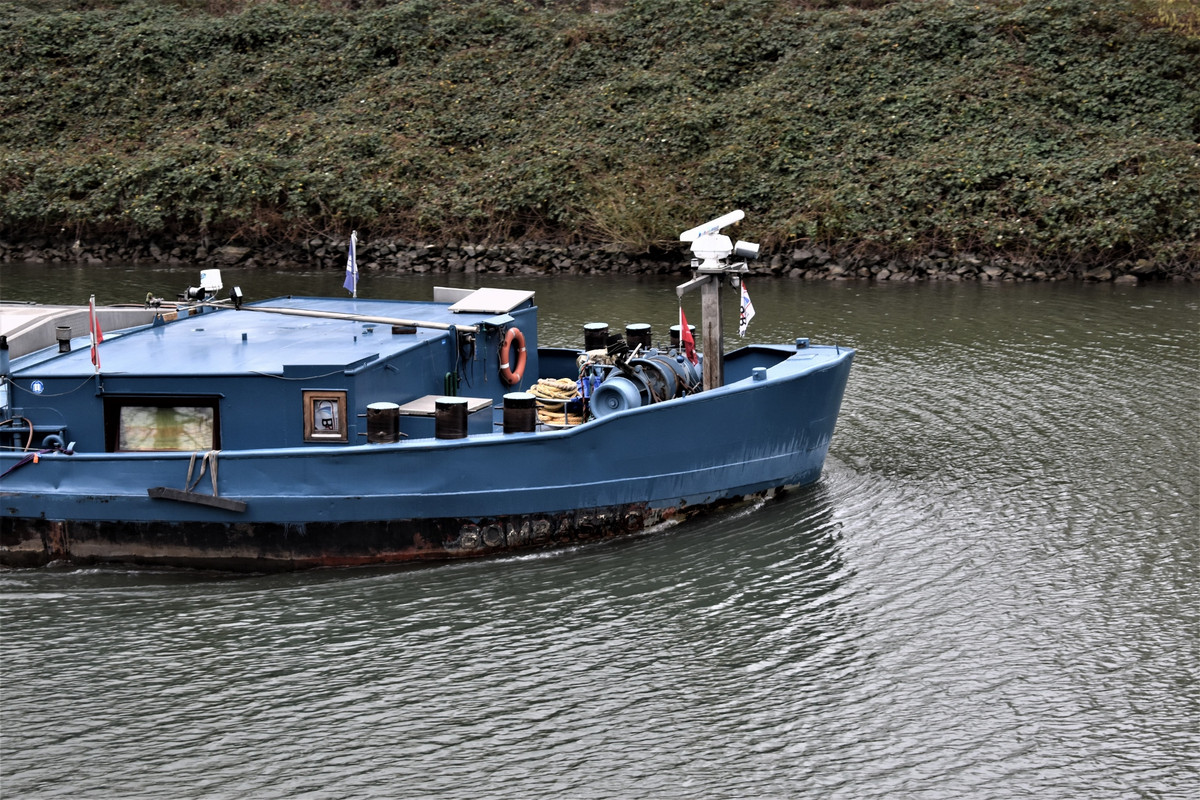 2022.01.09 RHK VIVARIUM 01 (1940x1293)