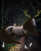 C3231269-047A-45EB-923D-984788EDDE6E