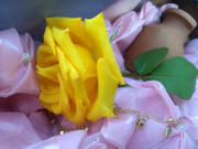 2.2.one last goodbye II